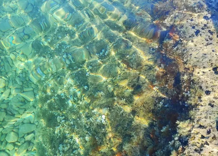 Appartement Rosemary