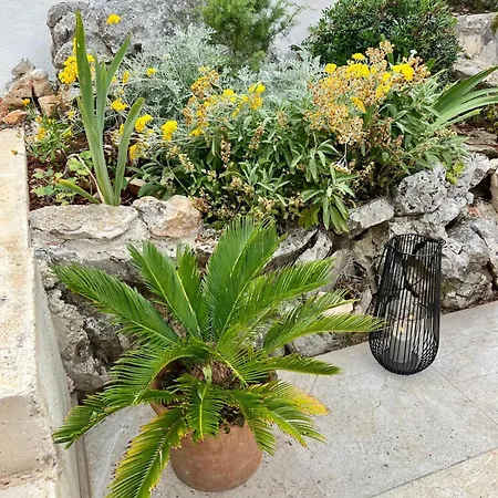 Rosemary Apartment Peruški